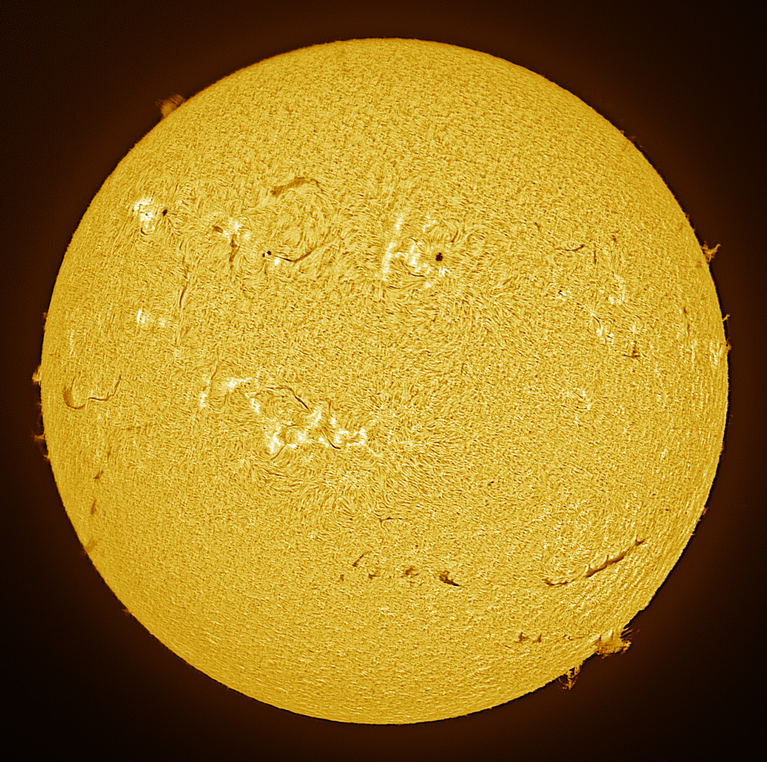 Solar Activity  