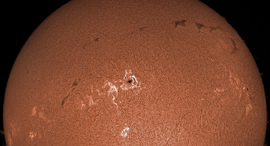 Sun H-alpha Region 4455