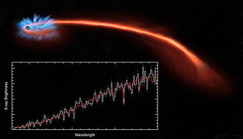 star eaten by black hole