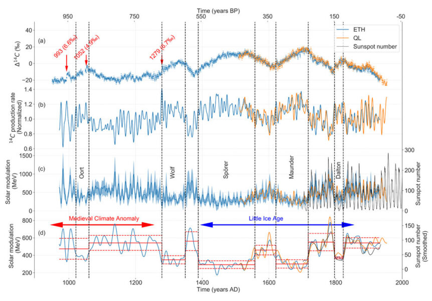 Tree Rings Help Reconstruct a Millennium of the Sun's Activity