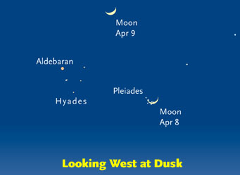 Evening on April 8th