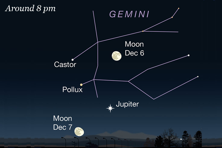 WEBVic2025_Dec06ev-DARK_FEATURED image