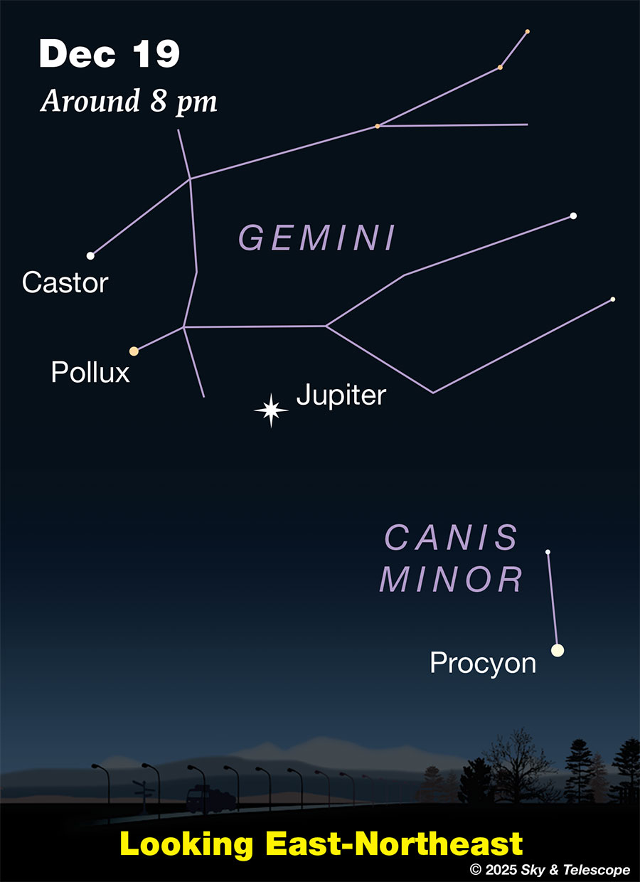 Jupiter with Castor, Pollux, and rising Procyon on Dec. 19, 2025