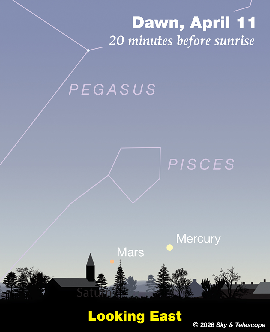Mercury and Saturn VERY low in bright dawn, April 11, 2026. You'll probably need binoculars or a wide-field telescope even for brighter Mercury.