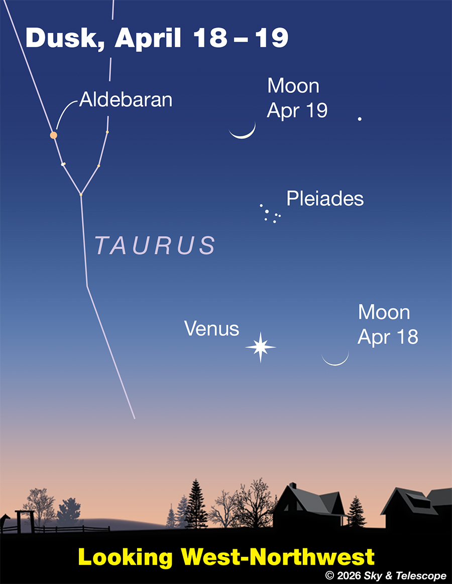 At dusk on the 18th and 19th, the thin crescent Moon steps past Venus and the Pleiades.