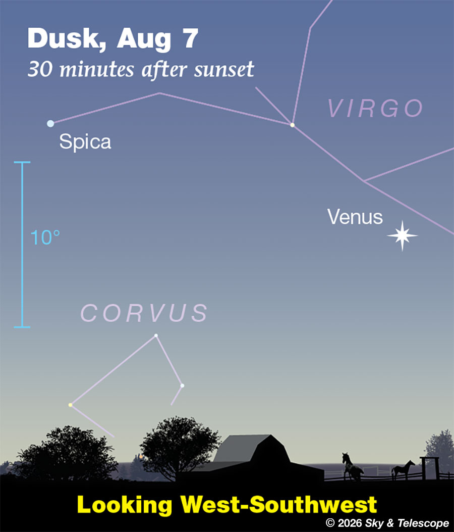 Venus low in twilight with Spica heading toward it, Aug. 7, 2026