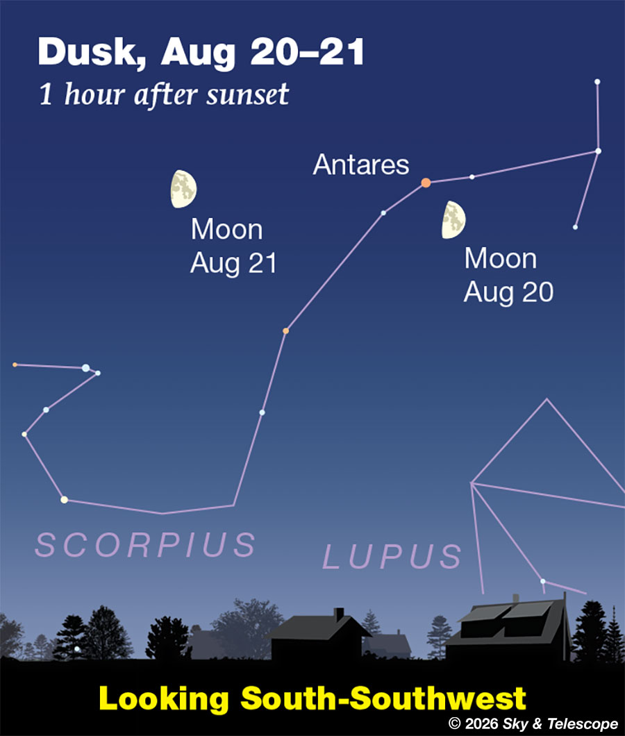 Moon passing Antares and continuing over Scorpius, Aug. 20-21, 2026