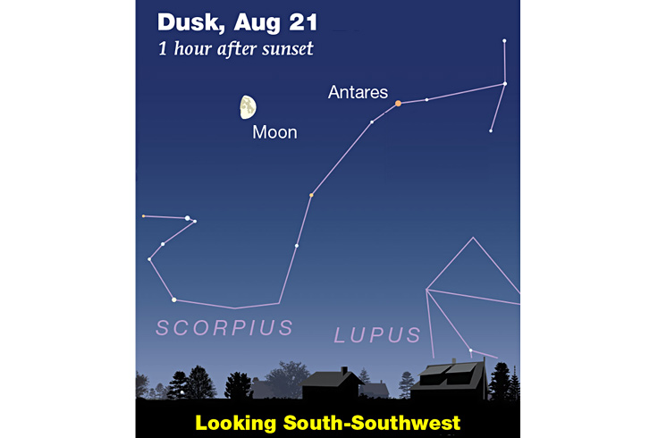 Moon east of Antares, Aug. 21, 2026
