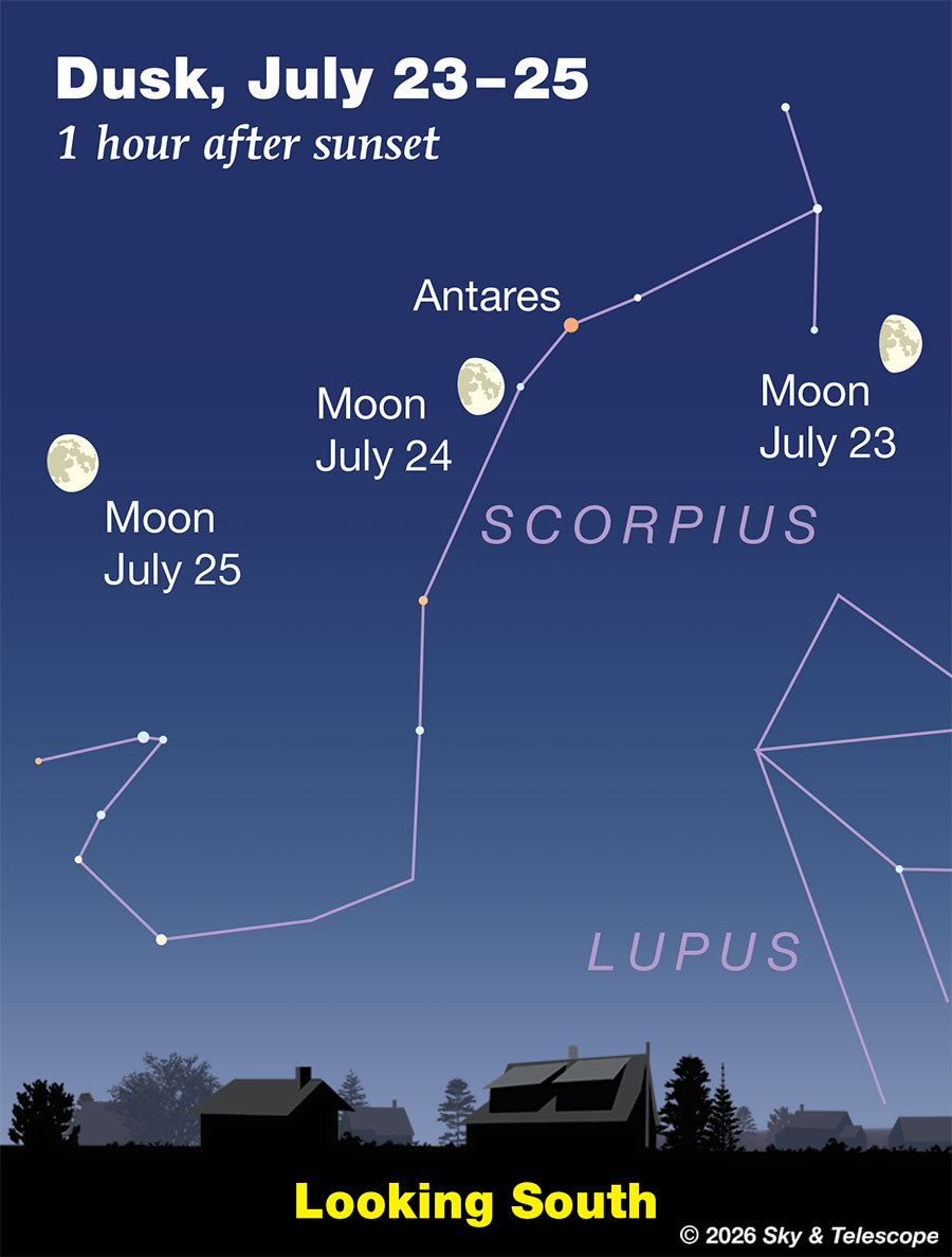 Waxing gibbous Moon passing Antares and Scorpius, July 23-25, 2026