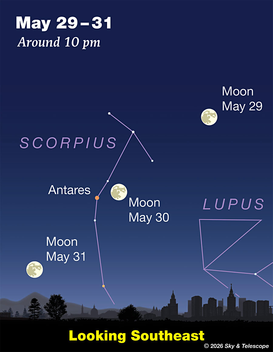 Full Moon passing Antares and Scorpius, May 29 - 31, 2026