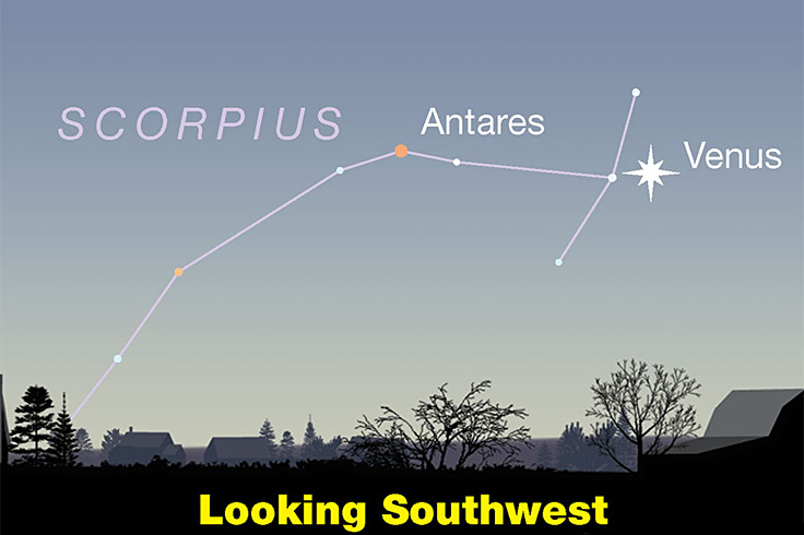 Venus, Antares and the head of Scorpius low in twilight, Oct. 18, 2024