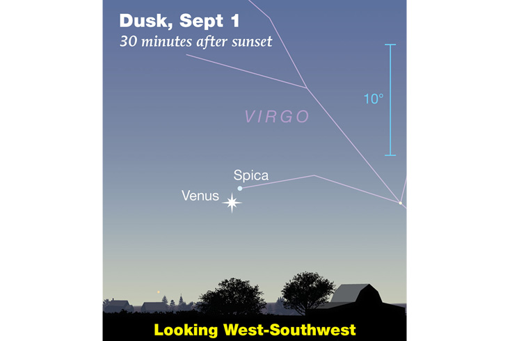 WEBVic_Sep01_ev_LIGHT_FEATURED image