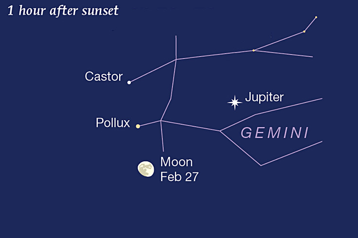 WEBvic2026_Feb27_ev_DARKblu_FEATURED image