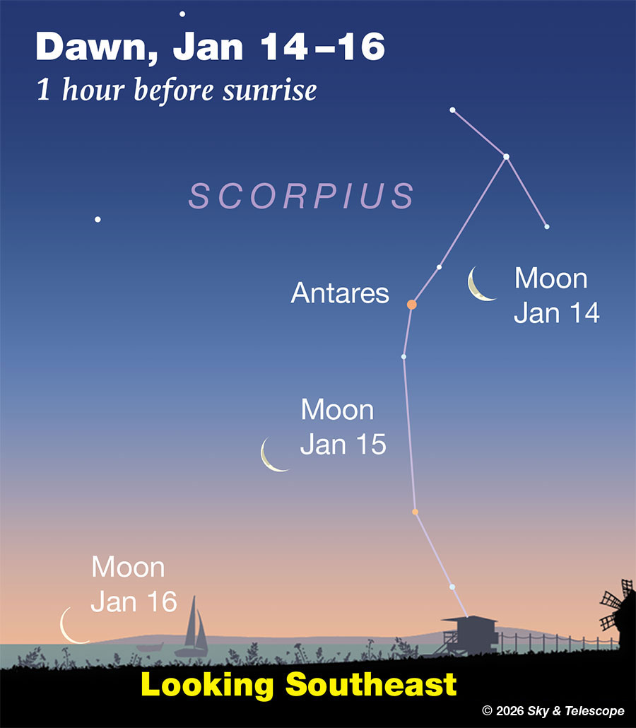 Waning crescent Moon passing Antares in early dawn, Jan. 14-15, 2026