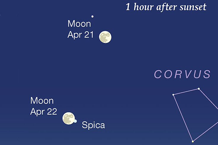 Moon meets Spica as Corvus watches, April 22, 2024