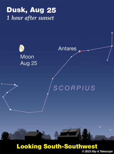 The Weeks Must See Sky Event July 25 August 1 Southern Delta Aquariids - a77ayy6