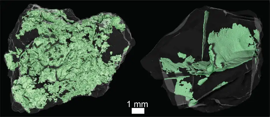 3D scans of rock fragments from Bennu reveal microscopic cracks