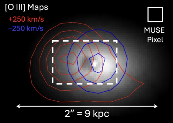 Image analysis