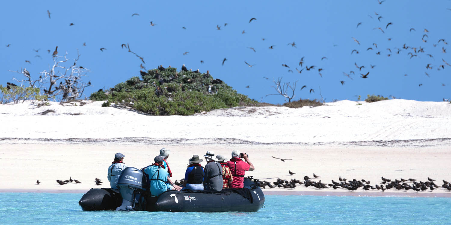 Birdwatchng on Ashmore Reef