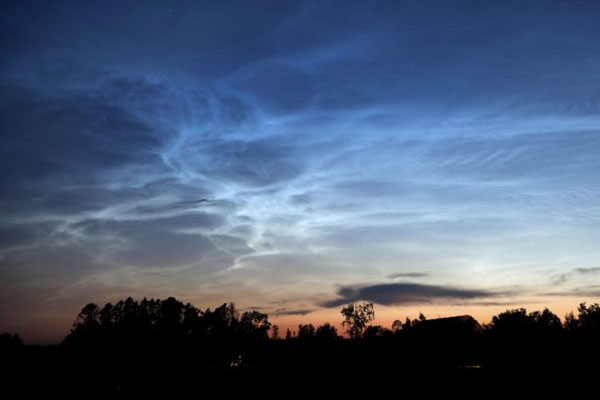 blue noctilucent clouds hover over trees and a pink sunset