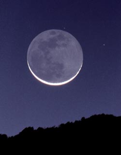 crescent Moon lit with Earthshine over a pines woods