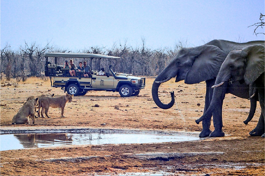 two elephants stand in the foreground at a watering hole with several cheetahs on the other side and a safari van with people in it in the background