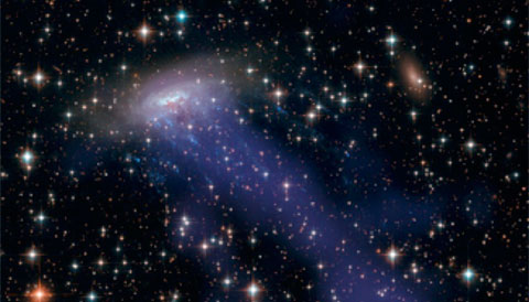 The cluster environment strips gas from galaxies