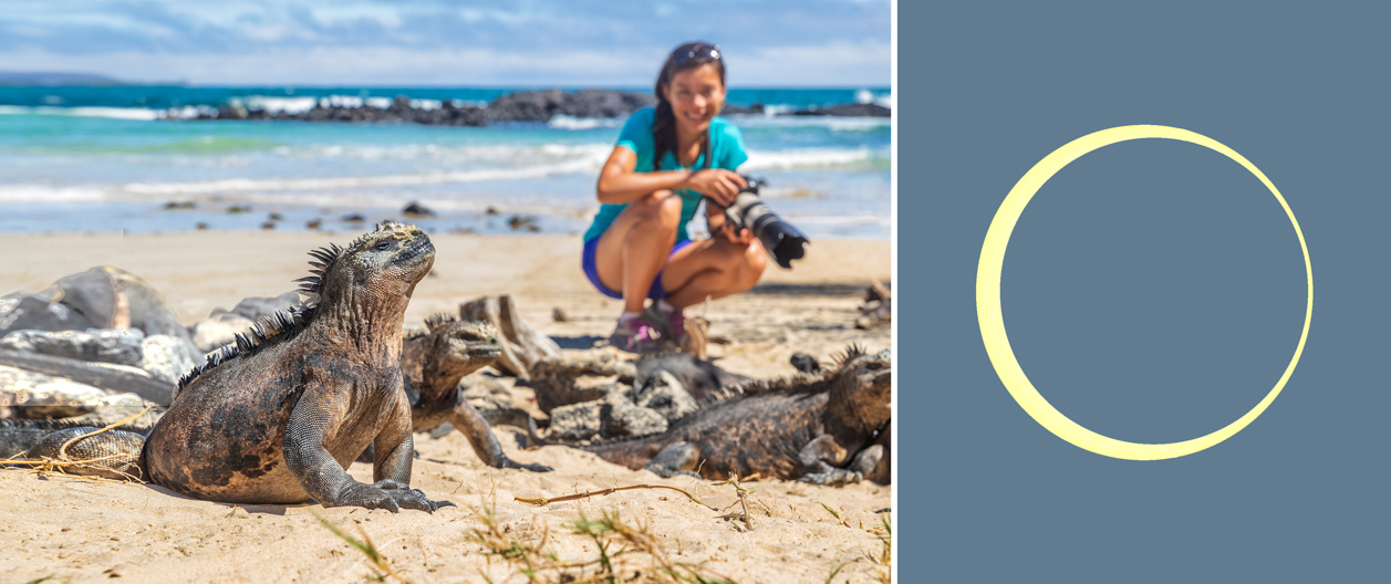 iguanas and annular eclipse in Galapagos