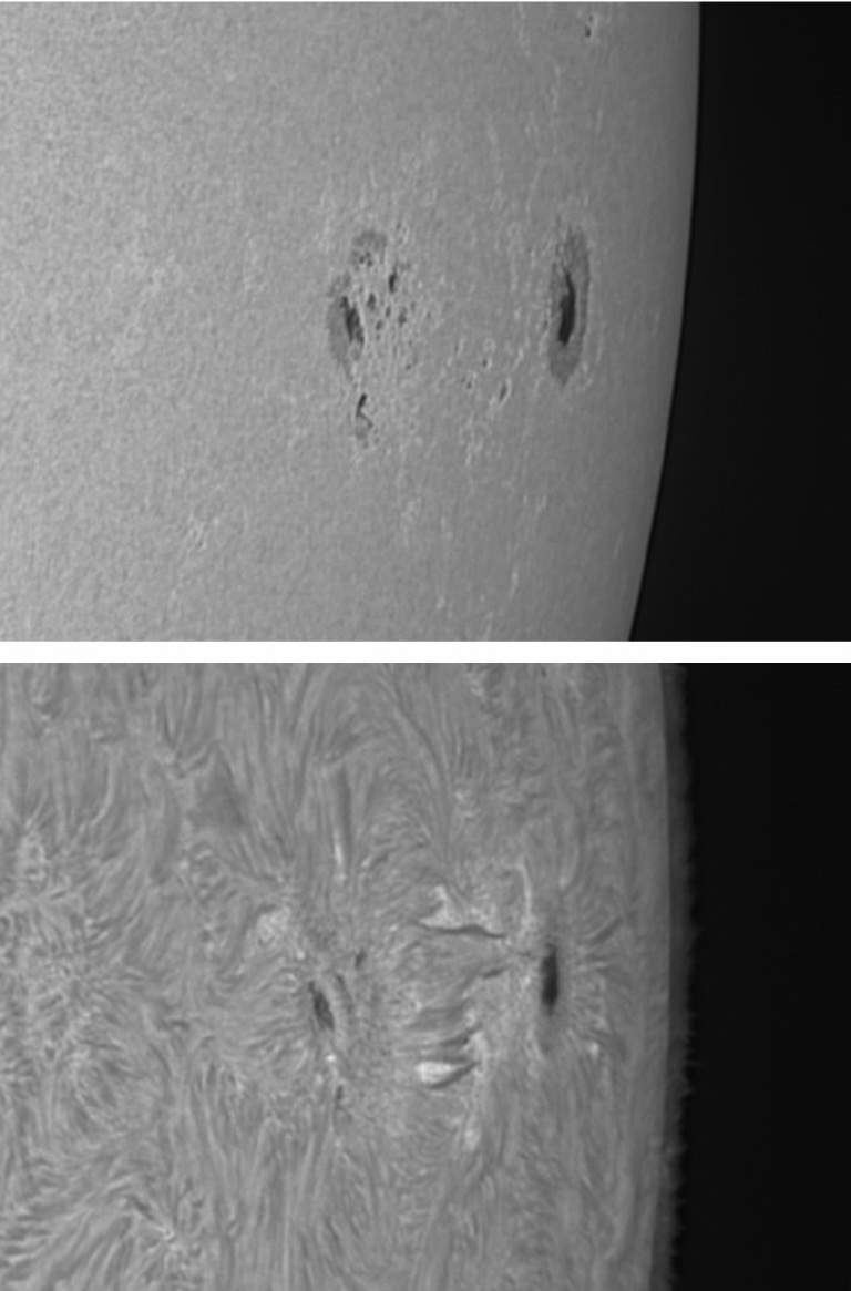 Sunspot group AR 3038 | Sky & Telescope