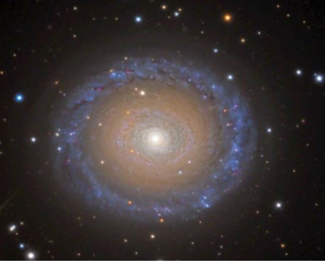 NGC 7217 Pegasus Astrophotography 
| Sky & Telescope