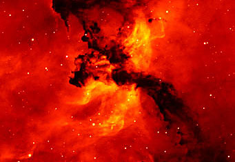 Dust lanes in Rosette Nebula