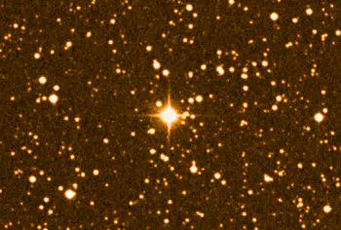 RR Lyrae