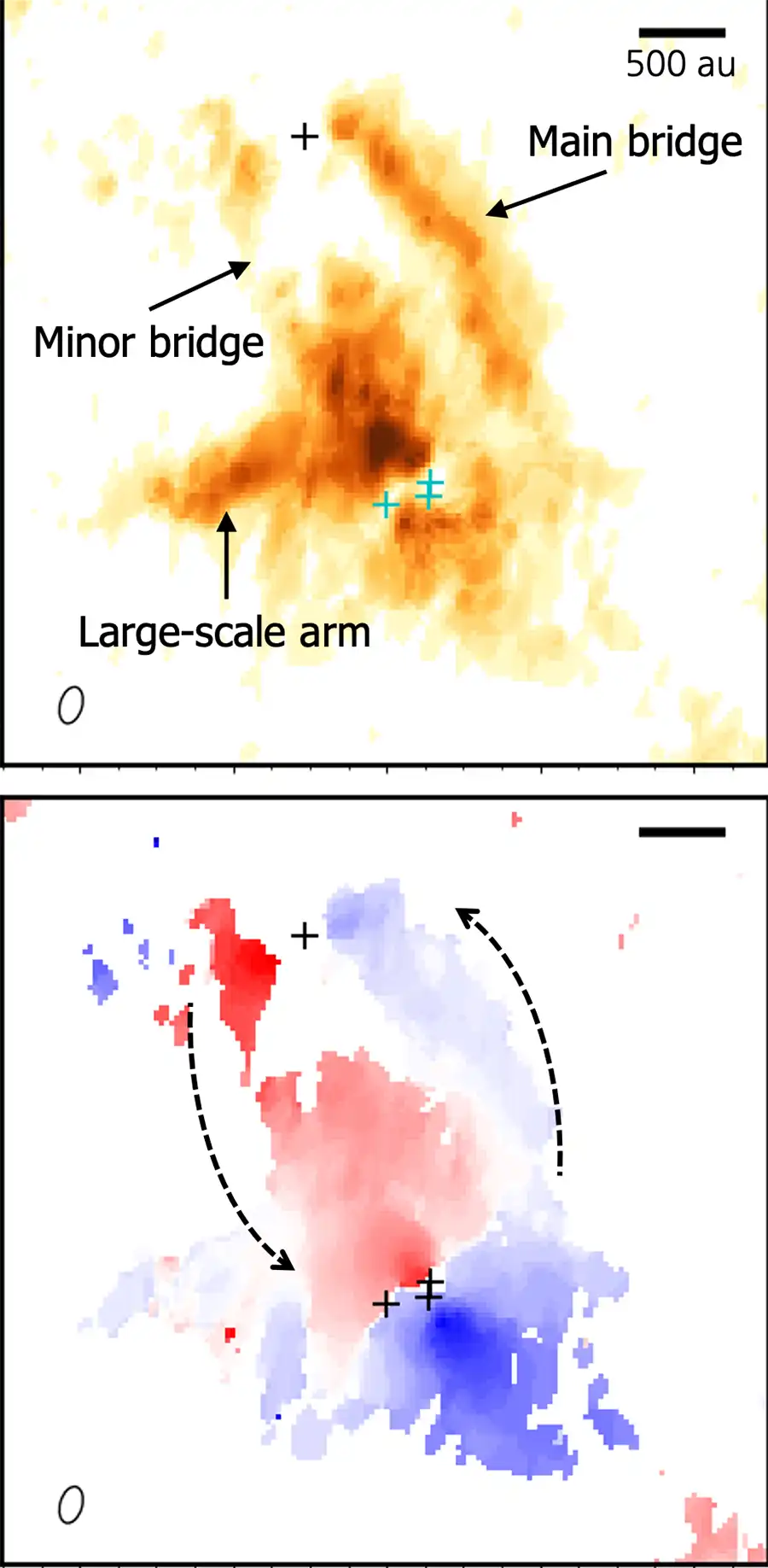 ALMA observations of H3CO+ in the stellar pair