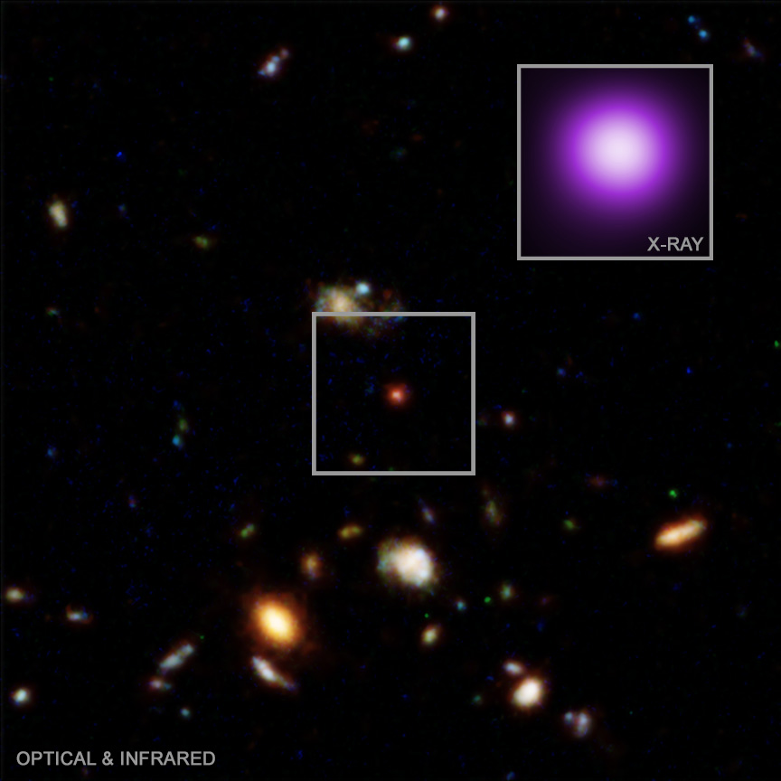 Webb and Chandra images