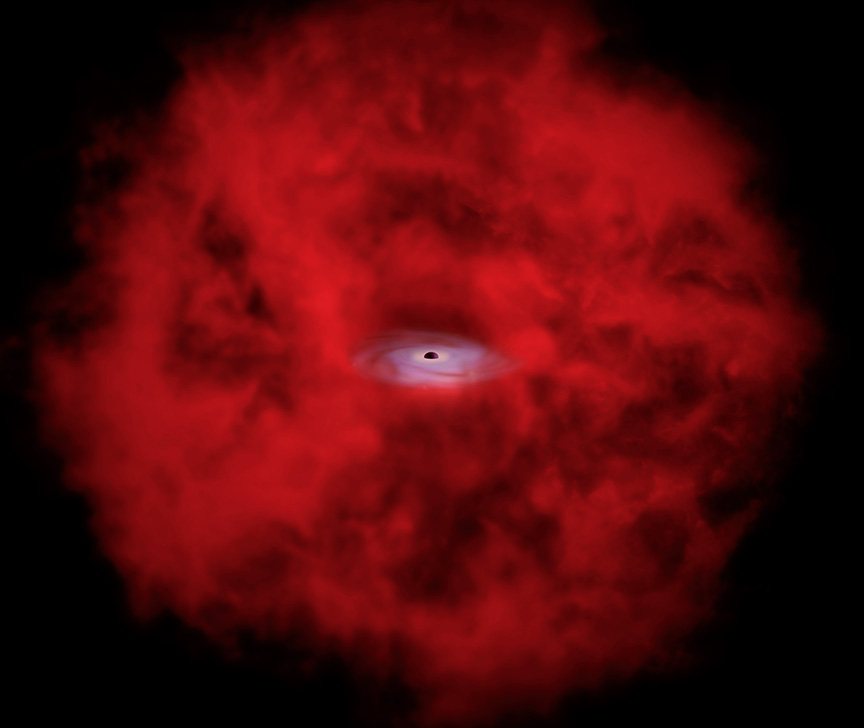 xraydot_illus_unlabeled image